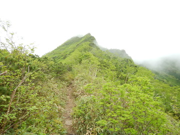 DSCN5105