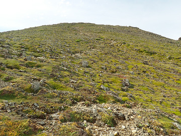 P9160120