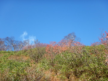 DSCN6936