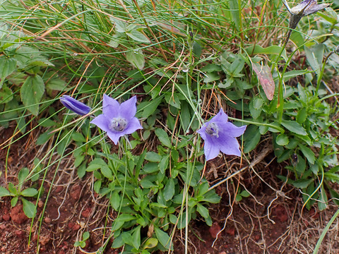 P8030114
