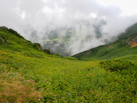 P8030107