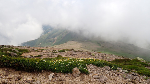 P7130129