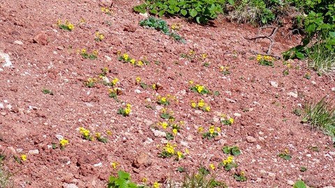 P6300113