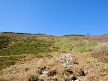 DSCN6943