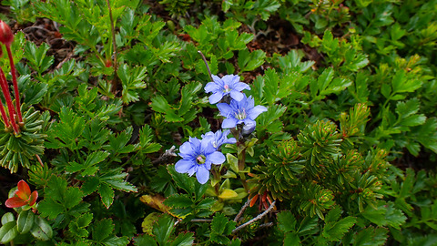 P7150167