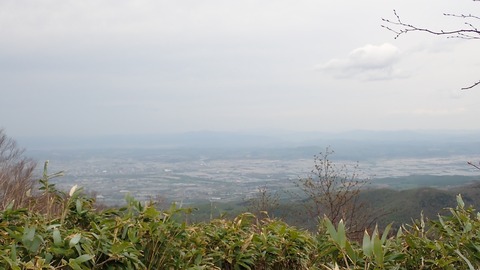 P5120048