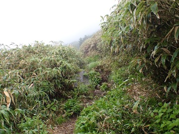 P7030047