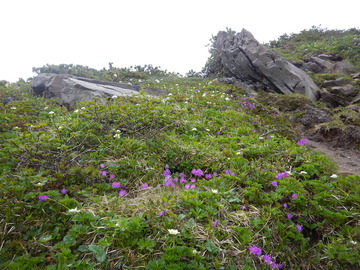 DSCN7795