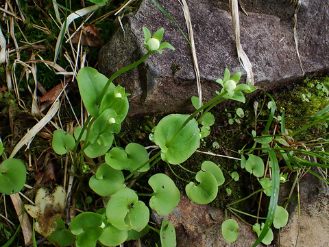P7130168