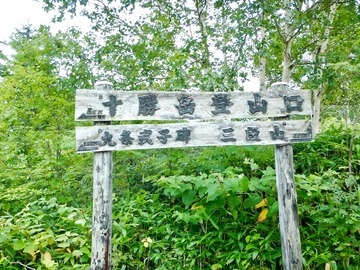 DSCN3811