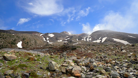 P6020129