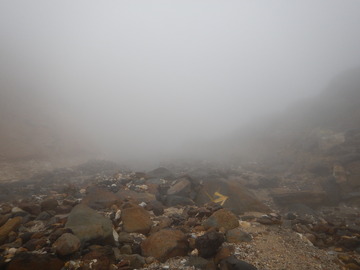 DSCN6831