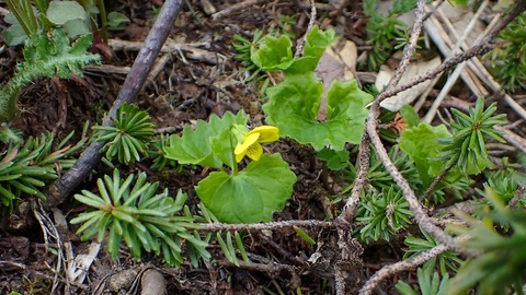 P6230041