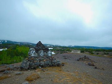 DSCN3154