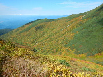 DSCN4208