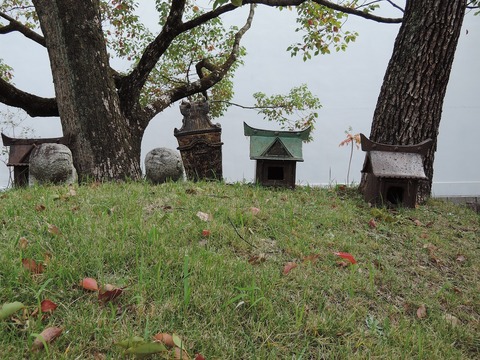 DSCN5491-2