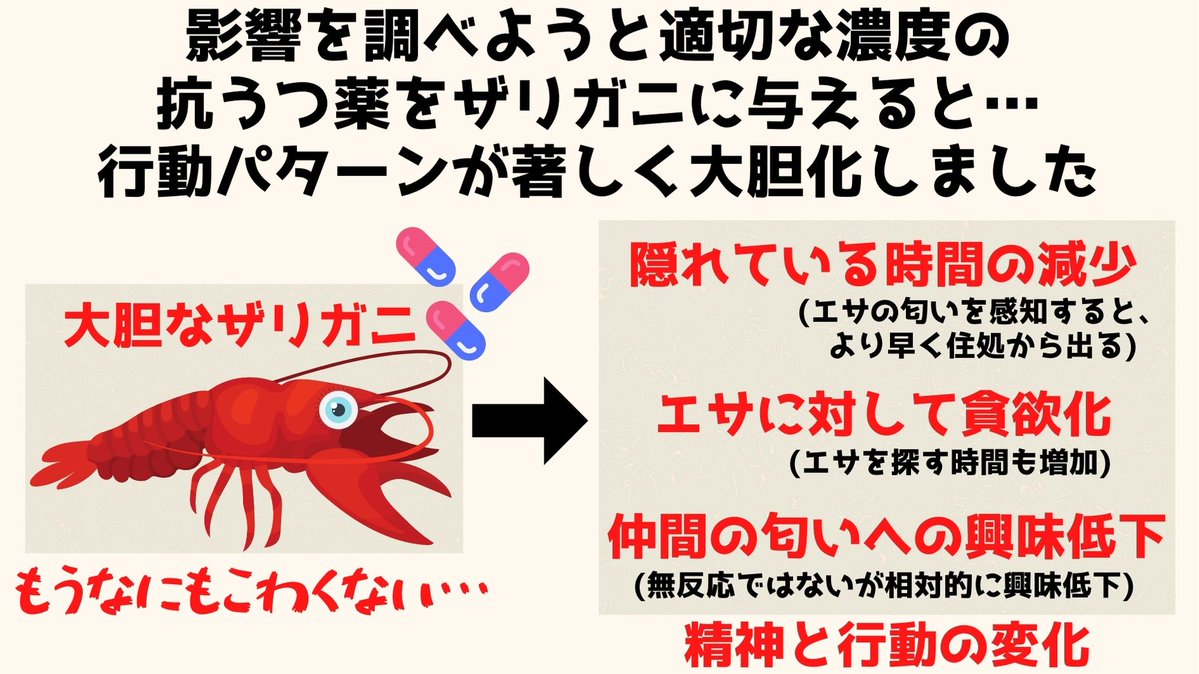 鬱病患者が抗うつ剤を糞尿として垂れ流す 抗うつ剤を接種したザリガニがハイになり凶暴化 なんjですの