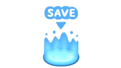 save