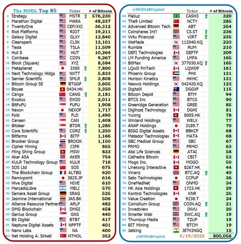 【投資】ビットコインをかき集めてる企業TOP８５がこれらしい : なんJですの