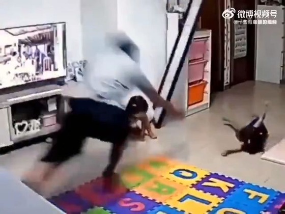 【動画】子育て、フィジカルゲーだった : なんJですの
