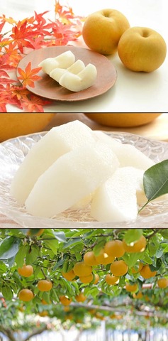 『梨』・・・、あまりにも美味すぎる😋 : なんJですの