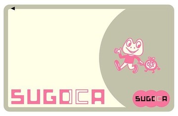 sugoca
