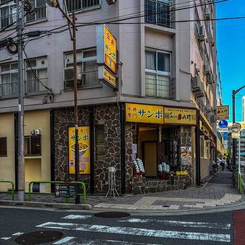 神保町に謎の牛丼屋が登場ですの… : なんJですの