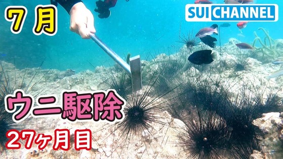 uni