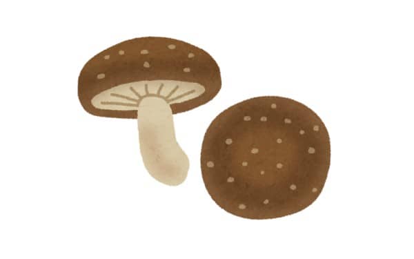 shiitake