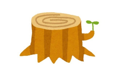 ki