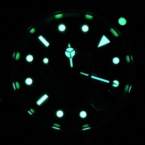DSCN0036