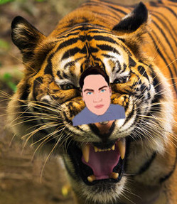 tora