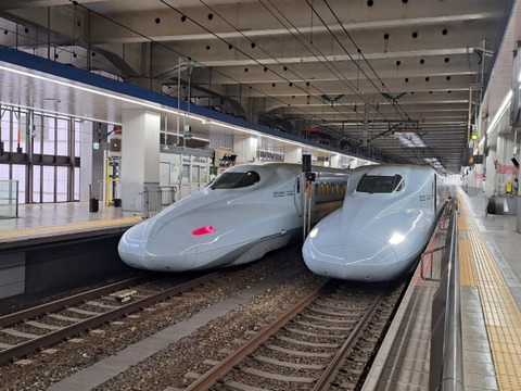 25175048_s