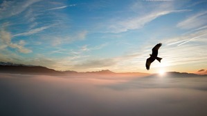 silhouette-of-bird-above-clouds-755385-scaled