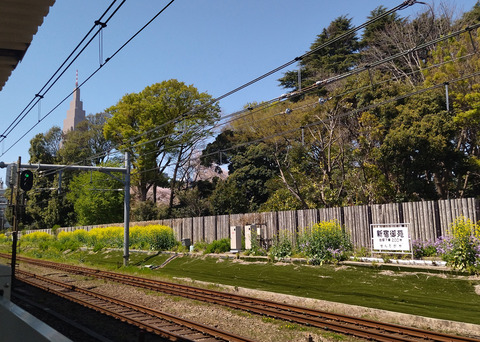 IMG_20250409_123022aa