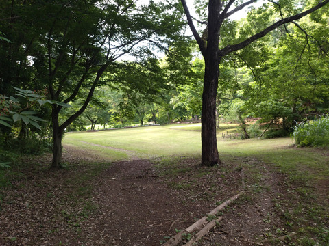 IMG_20240522_160817aa