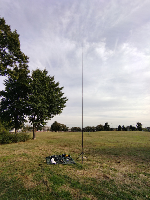 IMG_20241031_145535aa