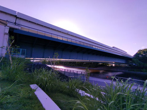 IMG_20240825_161205aa