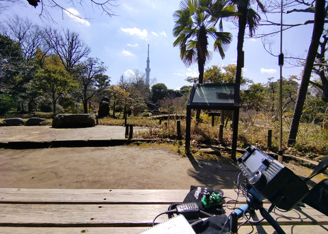 IMG_20250309_124151aa