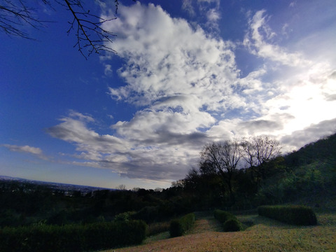 IMG_20250104_135037aa