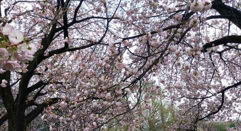 IMG_20210330_162433aa