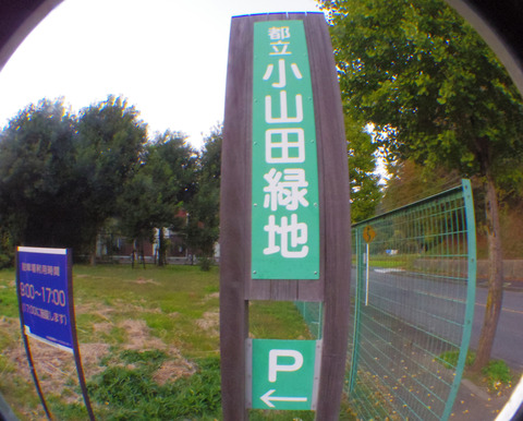 IMGP7161aa