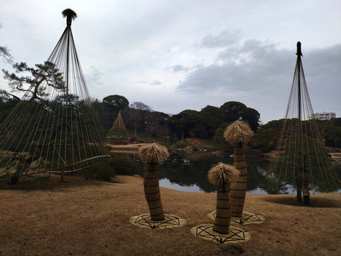 IMG_20250112_152110_1aa