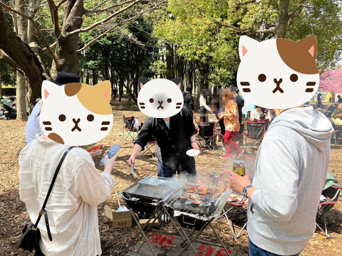 line_33567027559902aa