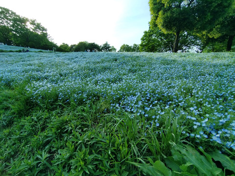 IMG_20240428_170239aa