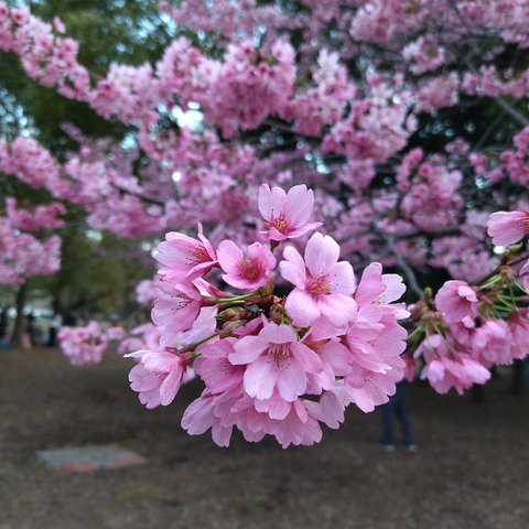 IMG_20240331_160439aa