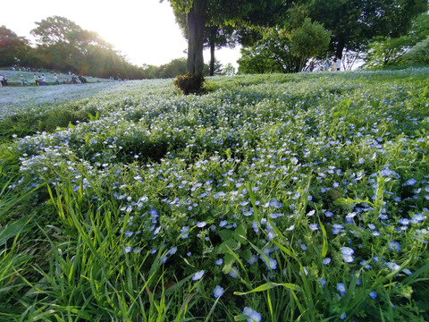 IMG_20240428_170206aa