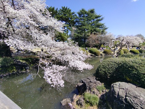 IMG_20250409_124347_1