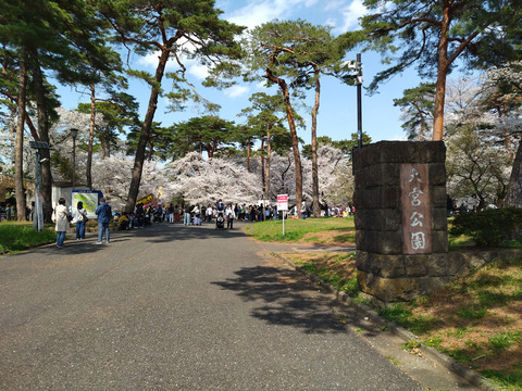 IMG_20250405_134916aa