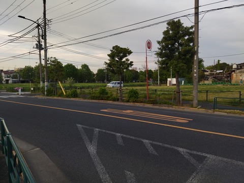 IMG_20250427_171251_1